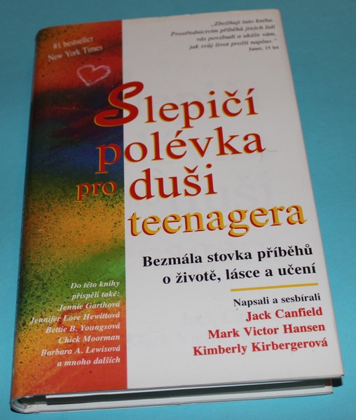 Slepičí polévka pro duši teenagera