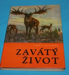Zavátý život - Augusta, Burian