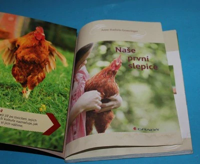 Naše první slepice