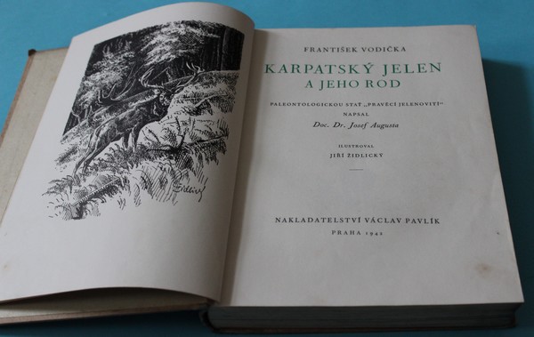 Karpatský jelen a jeho rod