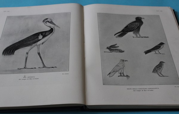 La pittura egiziana - Farina