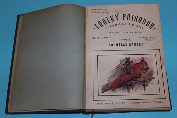 Toulky přírodou putování v domácnosti, v luzích a hájích