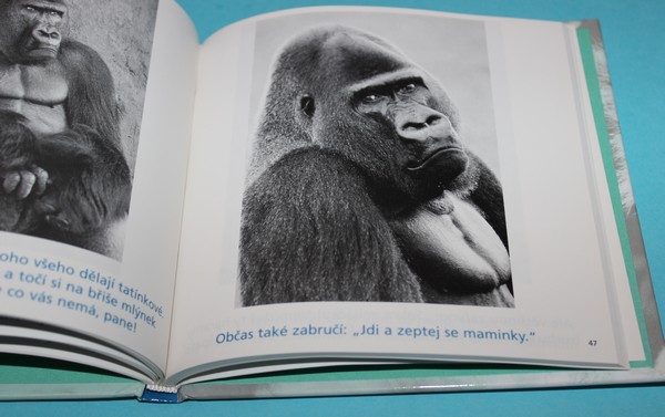 Všechny mámy světa - Greive