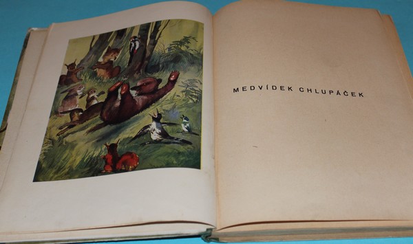 Medvídek Chlupáček - Vojíř