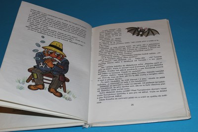 O letadélku Káněti - Říha