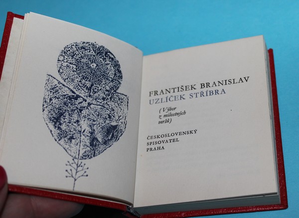 Uzlíček stříbra - Branislav