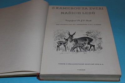 S kamerou za zvěří našich lesů