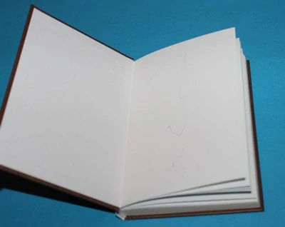 Vilém Farel V první linii reformace