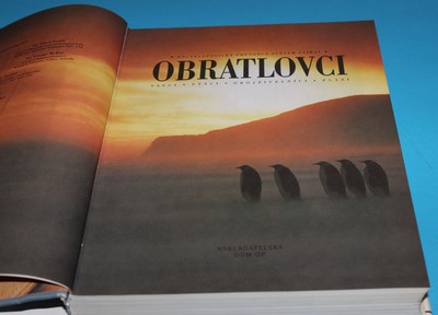 Obratlovci savci, ptáci, obojživelníci, plazi 