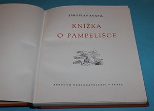 Knížka o Pampelišce - Kvapil