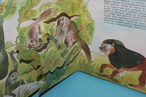 Pravěký člověk - Hulpach