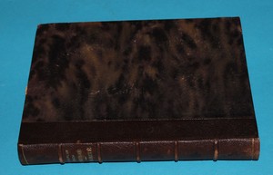 Dagmar Adamité - Čech