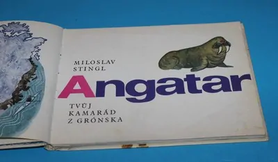 Angatar tvůj kamarád z Grónska