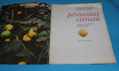 Pěstování citrusů SZN radí