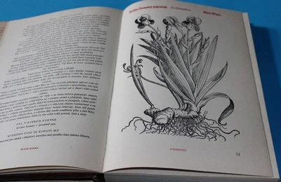 Herbář jinak Bylinář velmi užitečný