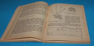 Základy zahradnictví - Kumstýř