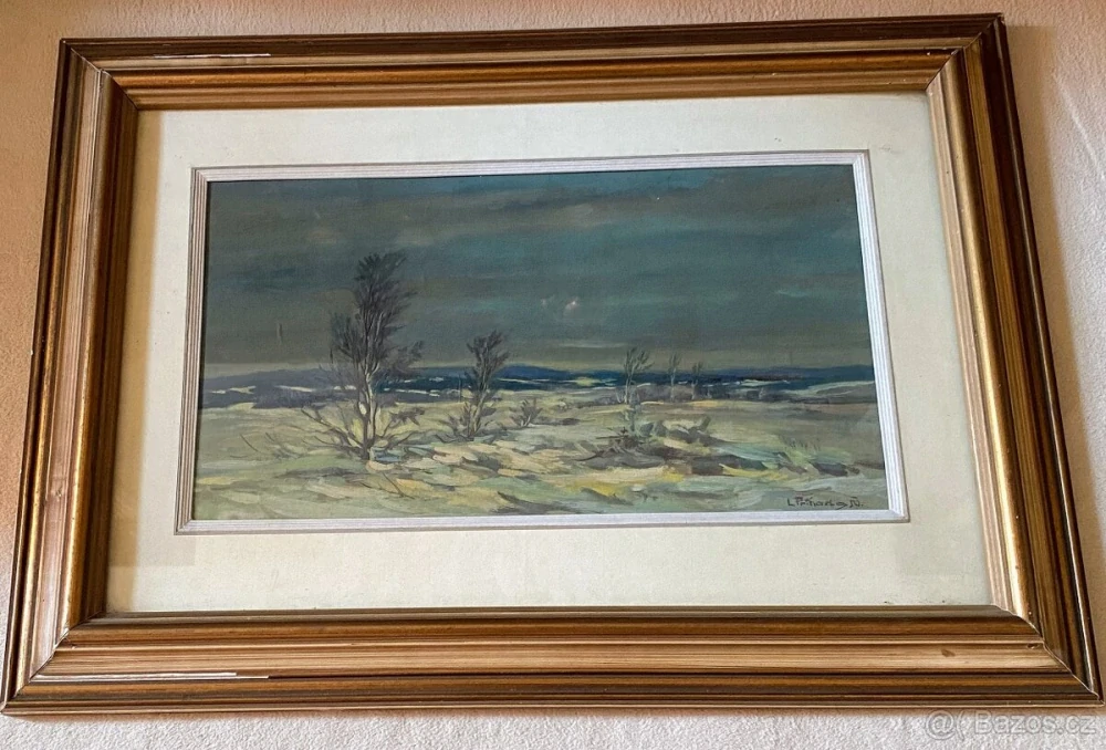 Zimní příroda - Příhoda