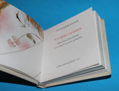 Na srdci kámen - Golob