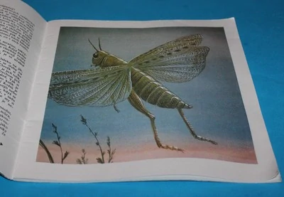 Entomologie v obrázcích