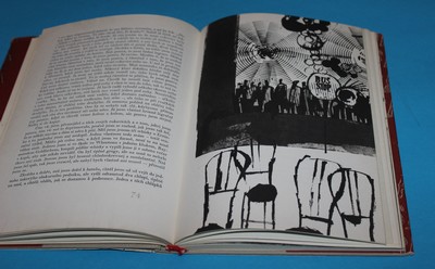 Kdo chytá v žitě - Salinger