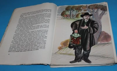 Divočina Povídky z přírody