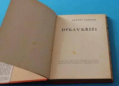 Dýka v kříži - Vaněček