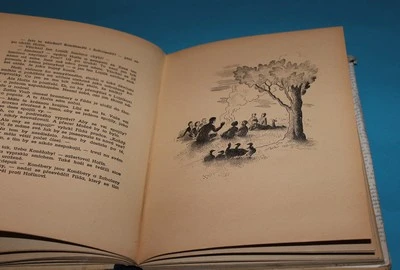 Hořínova třída - Vojíř