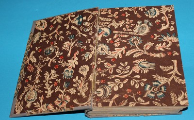 Kočičí tlapa Indický román - Croker