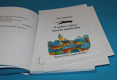 O rackovi a kočce, která ho naučila létat