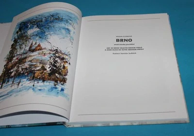 Brno aneb Trocha povídání, jak se Brno velkým Brnem stalo a jeho ulice ke svým jménům přišly