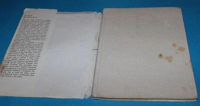 Popelka - Pilař