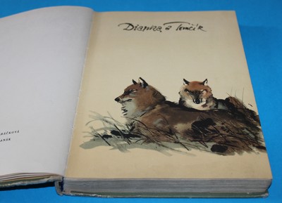 Tygřík Vaska - Perovská