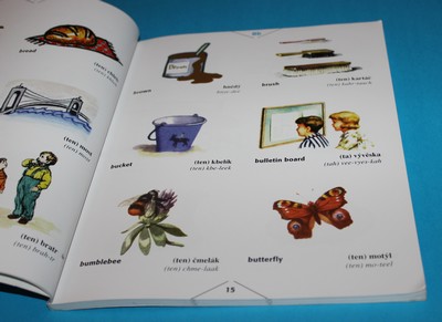 Hippocrene Children's Illustrated Czech Dictionary