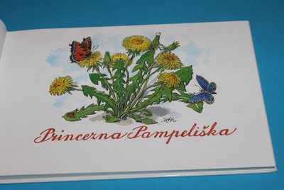 Princezna Pampeliška - Fischerová-Kvěchová