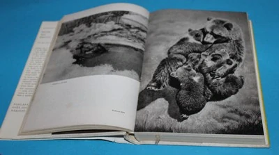 Revír bez hranic - Luskač