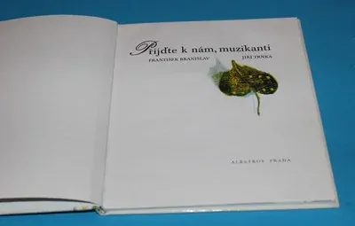 Přijďte k nám, muzikanti - Branislav, Trnka