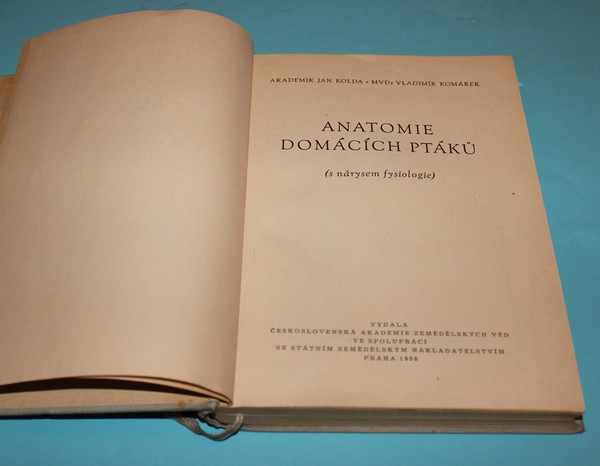 Anatomie domácích ptáků