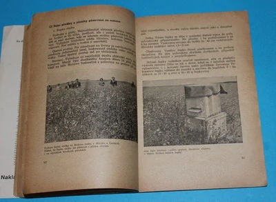 Včelí pastva - Šístek