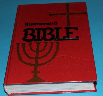 Ilustrovaná bible pro mládež