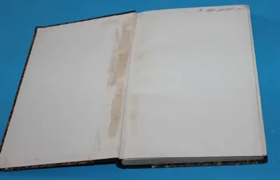 Morfium životopisný román