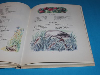 Ráno - Kožíšek