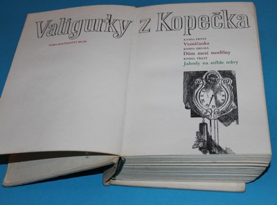 Valigurky z Kopečka - Křenek
