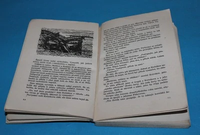 V týlu nepřítele KOD - Medvěděv