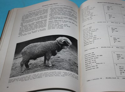 Plemenná kniha ovcí svazek I