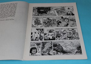Peruánský deník - Saudek