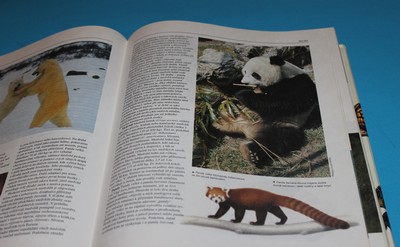 Obratlovci savci, ptáci, obojživelníci, plazi 