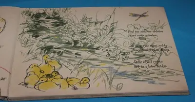 Kytička z náčrtníku - Hrubín