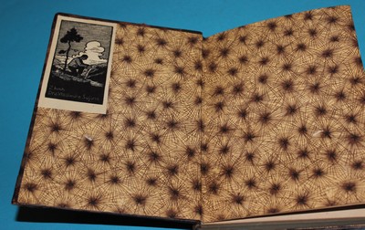 Dagmar Adamité - Čech