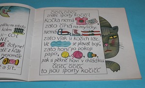 Co se stalo v neděli - Štíplová