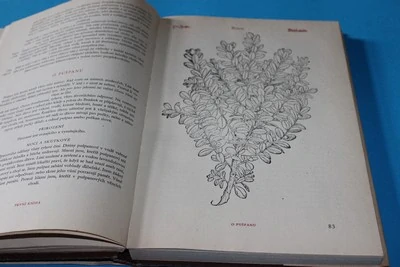 Herbář jinak Bylinář velmi užitečný